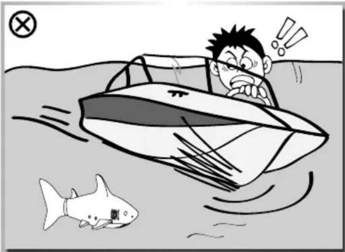 Carson RC Sharky - CAUTIONS WHEN OPERATING THE RC MODEL - 2