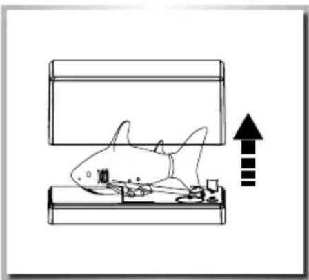 Carson RC Sharky - VORBEREITUNG - 1