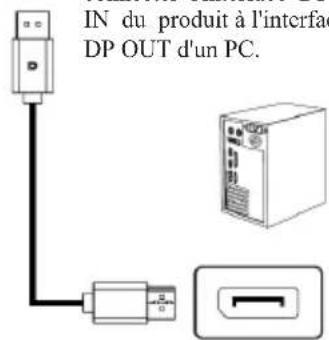 Titan Army P2510H - Interface DP - 2