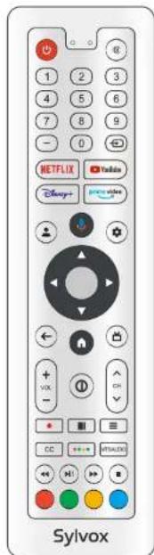 SYLVOX PT16A0KGGB - Accessories - 1