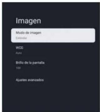 SYLVOX PT16A0KGGB - Entradas - 2
