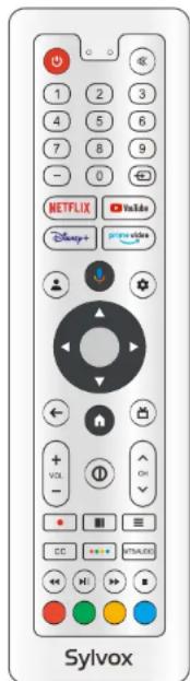 SYLVOX BT24A1KGGB - Accessoires - 1