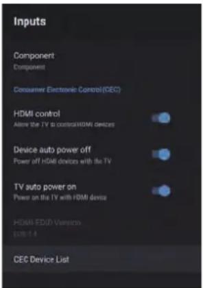 RCA RS42F2 - INPUTS - 2