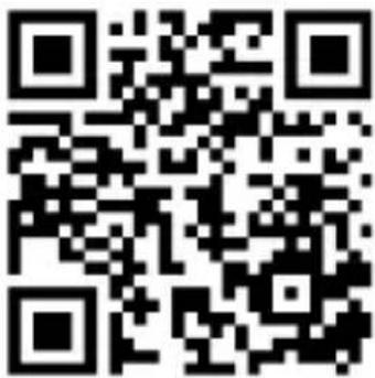 Majority Bard - Radio Bard - Vista frontale - 4