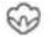 CANDY TCA266TM5-S - - Description des programmes - 4