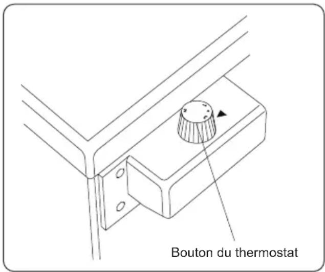 Bouton du thermostat