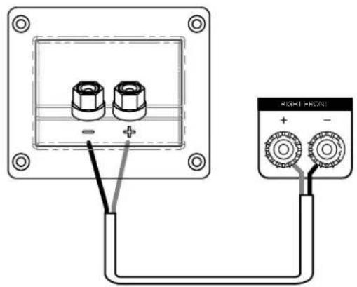 DENON Monitor XT35 - Branchement de base de l'enceinte - 1