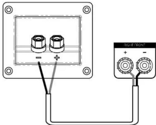 DENON Monitor XT15 - Базовое подключение акустических систем - 1