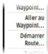 SIMRAD Cruise - Utilisation des options de menu - 1