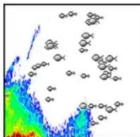 SIMRAD Cruise - Fish ID - 2