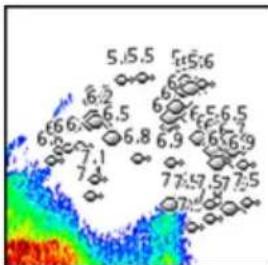 SIMRAD Cruise - Fish ID - 3