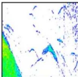 SIMRAD Cruise - Fish ID - 1