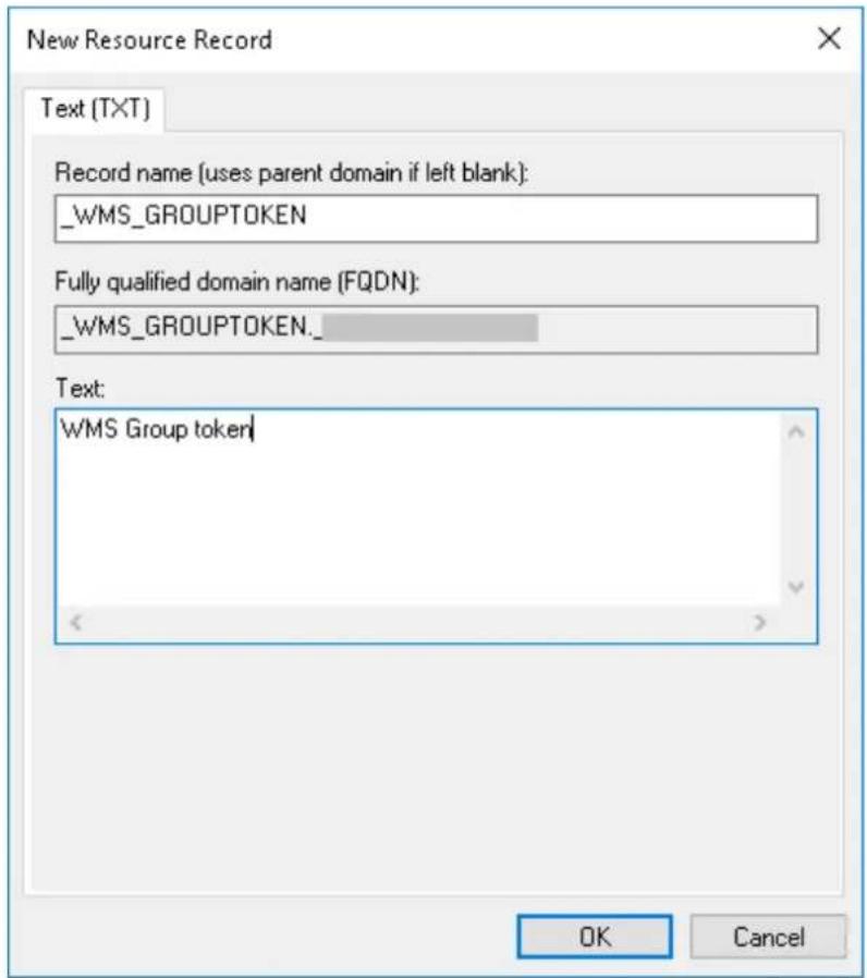 New Resource Record Text (TXT) Record name (uses parent domain if left blank): _WMS_GROUP TOKEN Fully qualified domain name (FQDN): _WMS_GROUP TOKEN__ Text: WMS Group token OK Cancel