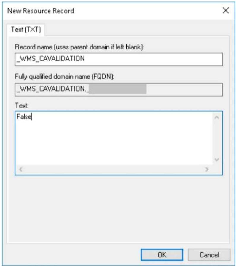 New Resource Record Text (TXT) Record name (uses parent domain if left blank): _WMS_CAVAILIZATION Fully qualified domain name (FQDN): _WMS_CAVAILIZATION__ Text: False OK Cancel