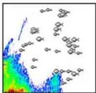 SIMRAD NSO evo3S MPU - Fish ID - 2