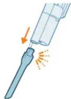 PHILIPS 5000 Series XC5043 - Verwenden der Mini-Turbobürste - 2