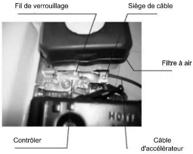 Anova MC1003 - Assemblage de câbles - 1