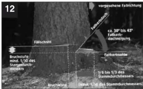 EINHELL Royal EKS 2040/1 P - ⑩ Hinweise zum Verständnis - 6