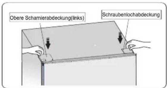 HISENSE RB327N4ADD - Seitenwechsel der Tür - 23