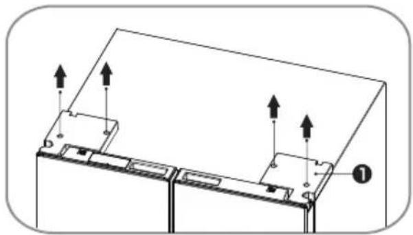 HISENSE RQ5P470SAID - Rimozione delle porte (se necessario) - 1