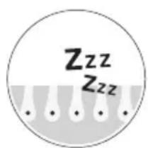 BRAUN Silk-expert Mini PL1014 - STEMPLING - 2