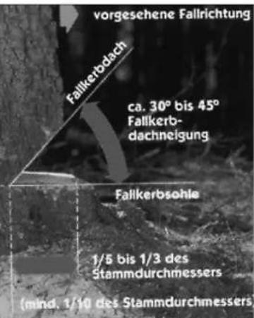 EINHELL KSE 1635 - Hinweise zum Verständnis - 16