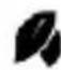 Brandson 303368 - Modes - 3