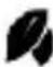 Brandson 303368 - Modos - 2