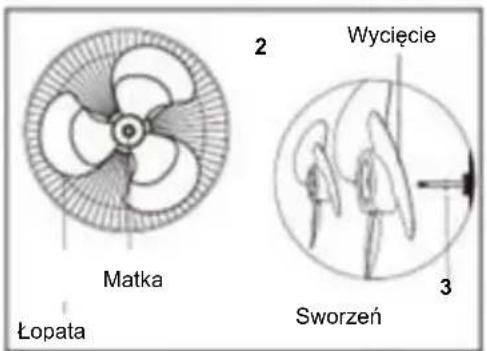 Be Cool BC16SFRC - Montaż łopaty wirnika i siatki ochronnej - 2