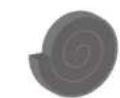 COMFEE Smart Cool 7000 IE - Ostatni regiony - 3