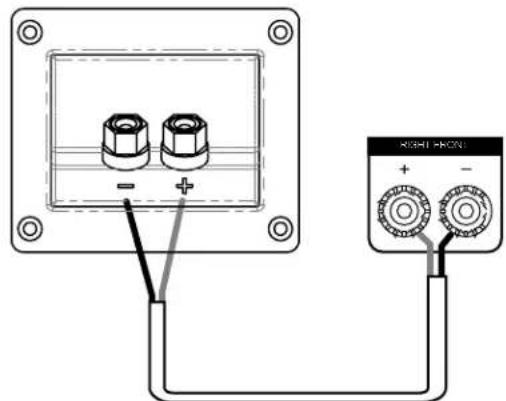 DENON Monitor XT90 - Collegamento di base dell'altoparlante - 1