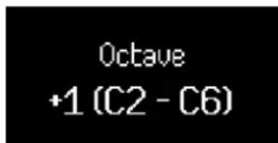 NOVATION Launchkey 49 MK4 - Changement d'octave - 2