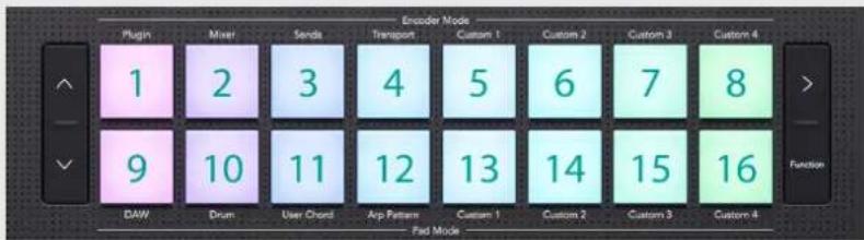 NOVATION Launchkey 49 MK4 - TERMINOLOGIE DES COUSSINETS DE TAMBOUR - 1