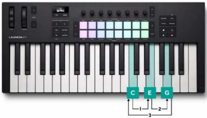 NOVATION Launchkey 49 MK4 - Arp manuel vers le haut - 1