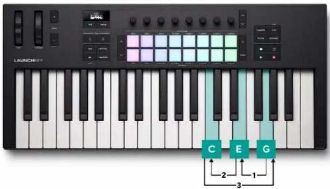 NOVATION Launchkey 49 MK4 - Arp manuel vers le bas - 1