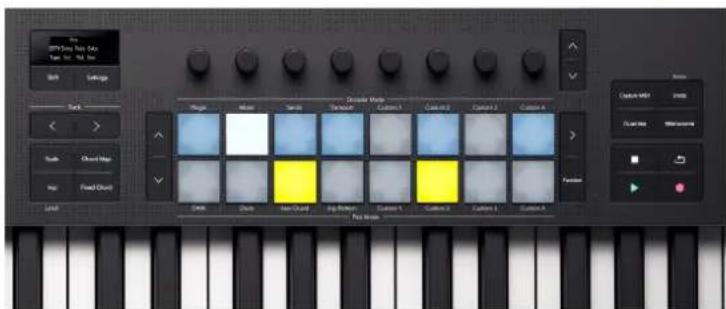 NOVATION Launchkey 49 MK4 - Cliquet Arp - 1