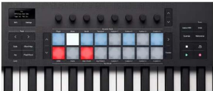 NOVATION Launchkey 25 MK4 - Cravate Arp - 1