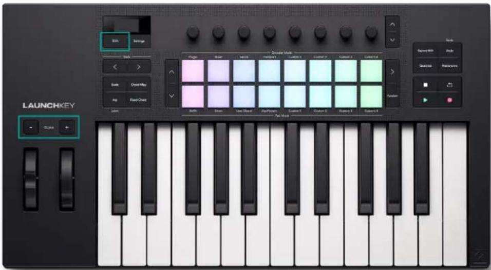 NOVATION Launchkey 25 MK4 - Transposition des clés - 1