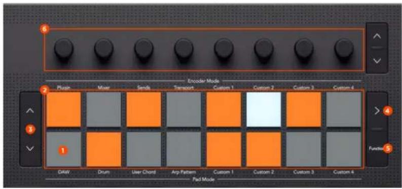 NOVATION Launchkey 25 MK4 - Utilisation du mode séquenceur de Bitwig Studio - 1