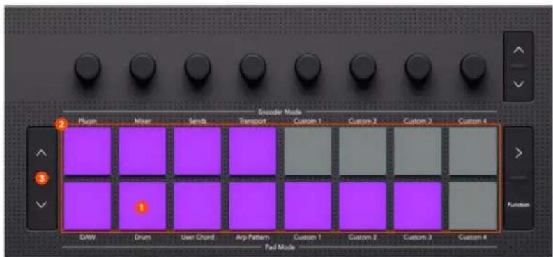 NOVATION Launchkey 25 MK4 - Utilisation du mode Drum pad de Bitwig Studio - 1
