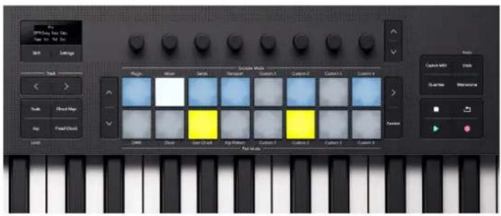 NOVATION Launchkey 25 MK4 - Cliquet Arp - 1