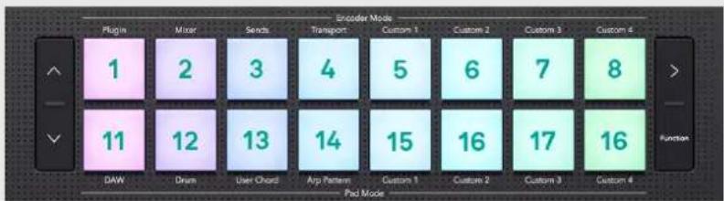 NOVATION Launchkey 25 MK4 - TERMINOLOGIE DES COUSSINETS DE TAMBOUR - 1