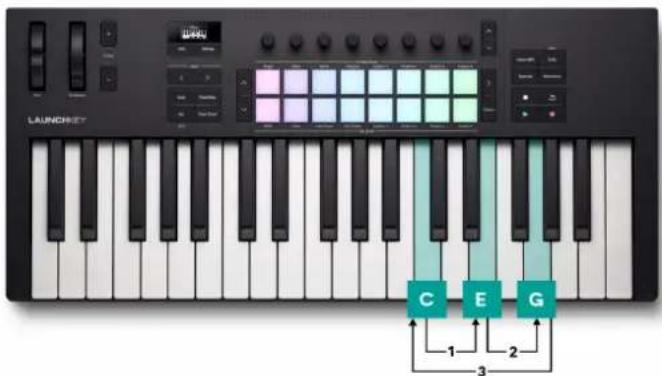 NOVATION Launchkey 25 MK4 - Arp manuel vers le haut - 1