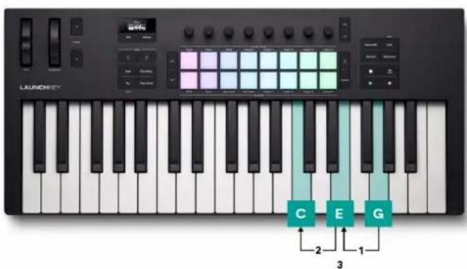 NOVATION Launchkey 25 MK4 - Arp manuel vers le bas - 1