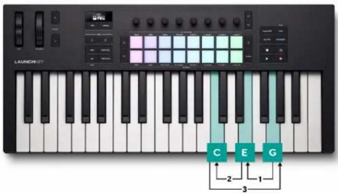 NOVATION Launchkey Mini 37 MK4 - Arp manuel vers le bas - 1
