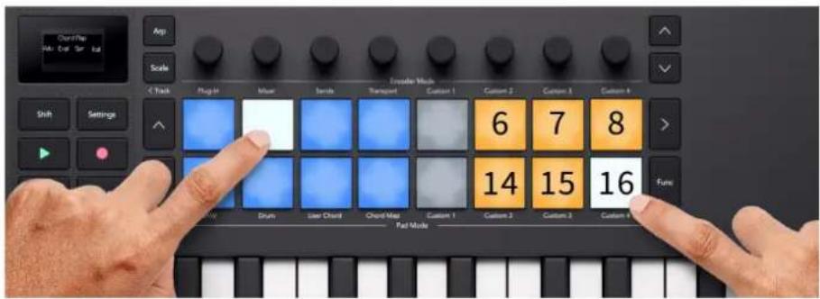 NOVATION Launchkey Mini 37 MK4 - Plaquettes de performance Chord Map - 1