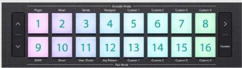 NOVATION Launchkey Mini 37 MK4 - TERMINOLOGIE DES COUSSINETS DE TAMBOUR - 1