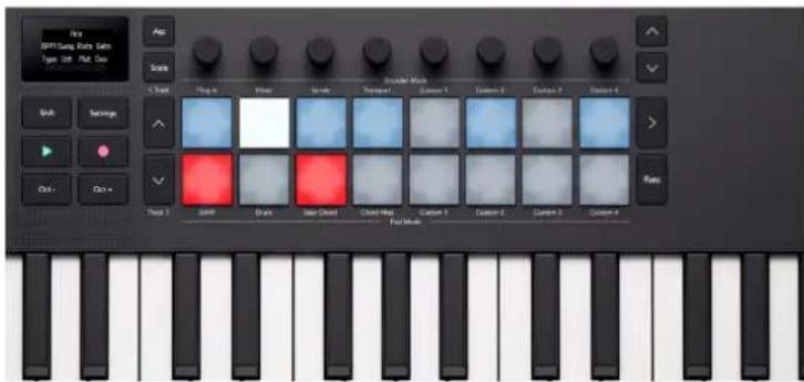 NOVATION Launchkey Mini 37 MK4 - Cravate Arp - 1