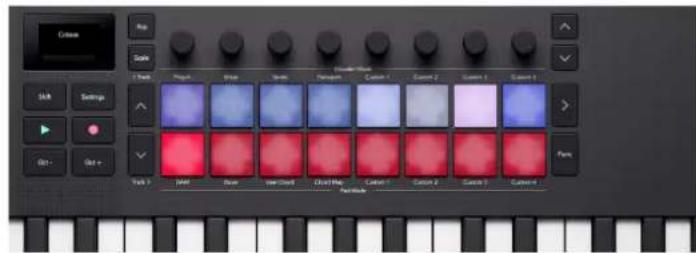 NOVATION Launchkey Mini 37 MK4 - Utilisation du mode pad DAW dans Cubase - 3