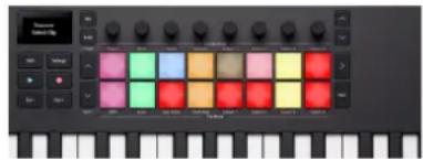 NOVATION Launchkey Mini 37 MK4 - Sélection des clips dans le séquenceur Ableton de Launchkey - 2